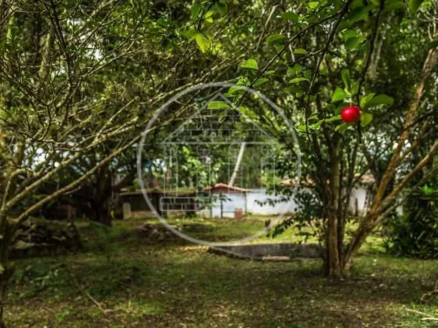 Terreno com 261m², à venda, no bairro Jardim das Palmeiras (Zona Sul) em São Paulo