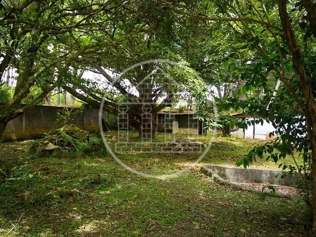 Terreno com 261m², à venda, no bairro Jardim das Palmeiras (Zona Sul) em São Paulo