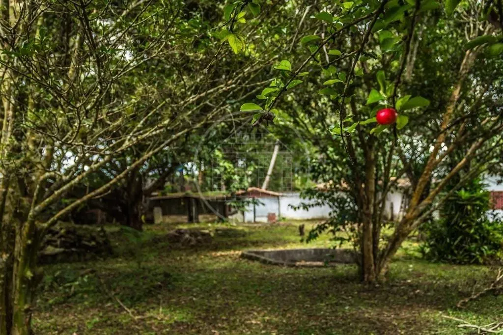 Terreno, 261 m² - Foto 5