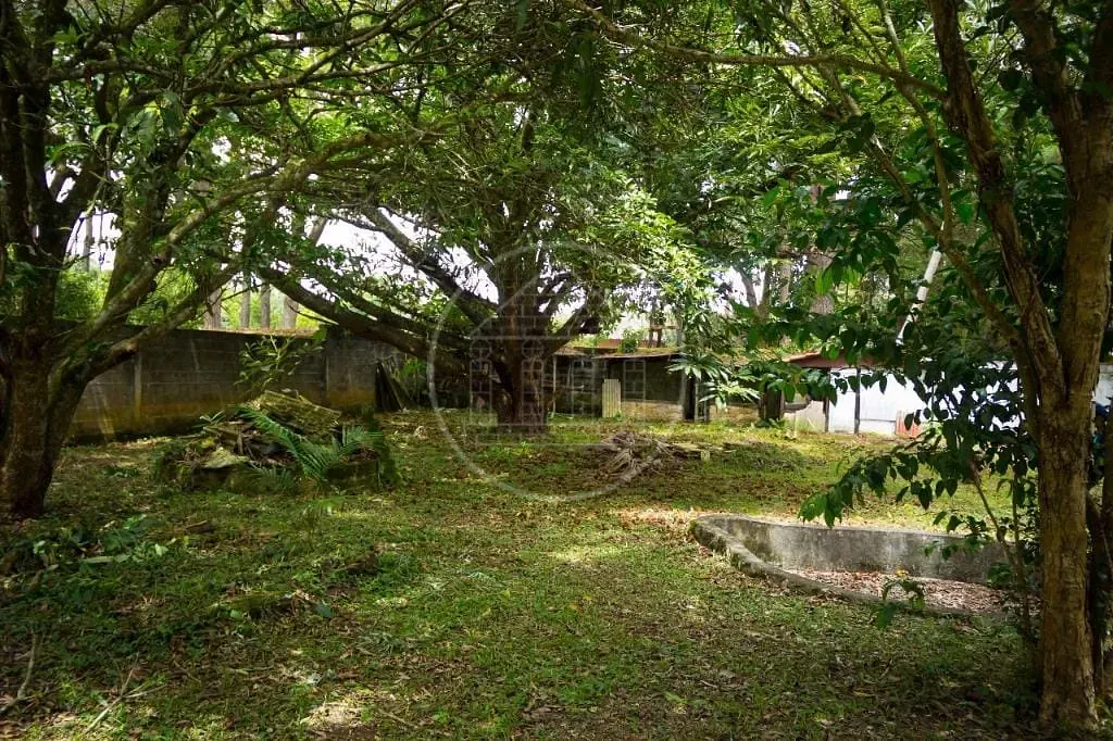Terreno, 261 m² - Foto 2