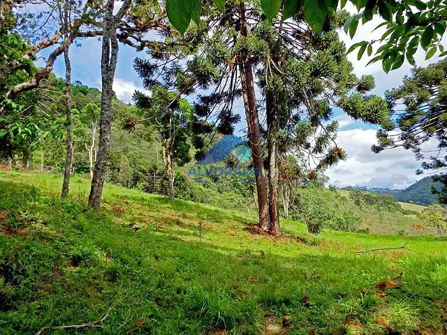 Terreno com 1078m², à venda, no bairro Centro em Gonçalves