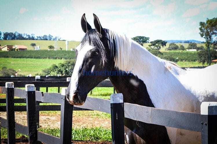 Terreno, 1052 m² - Foto 11