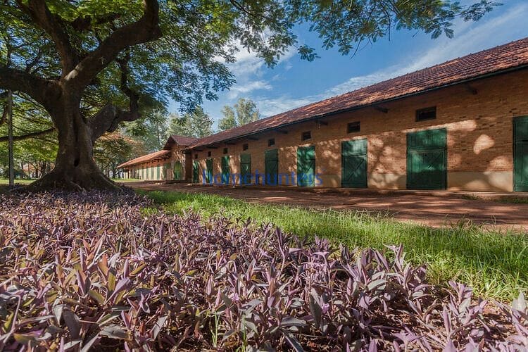 Terreno, 1052 m² - Foto 8