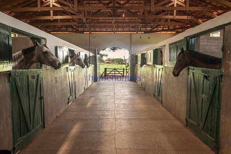 Terreno, 1052 m² - Foto 7