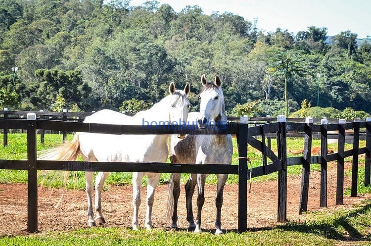 Terreno, 1052 m² - Foto 10