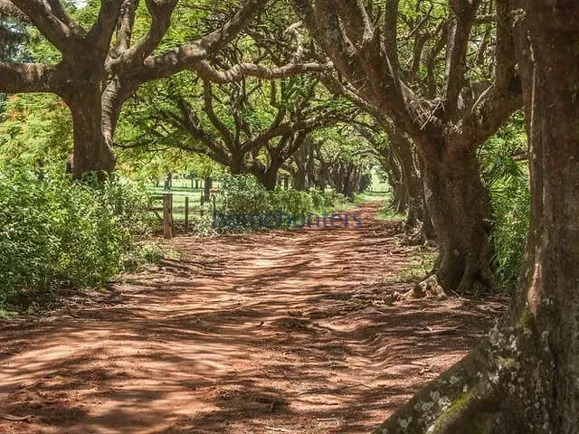 Terreno com 1052m², à venda, no bairro Residencial Haras Patente em Jaguariúna