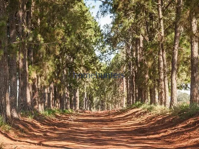 Terreno com 1052m², à venda, no bairro Residencial Haras Patente em Jaguariúna