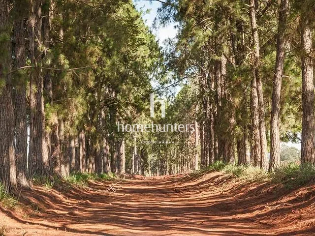 Terreno com 1052m², à venda, no bairro Residencial Haras Patente em Jaguariúna
