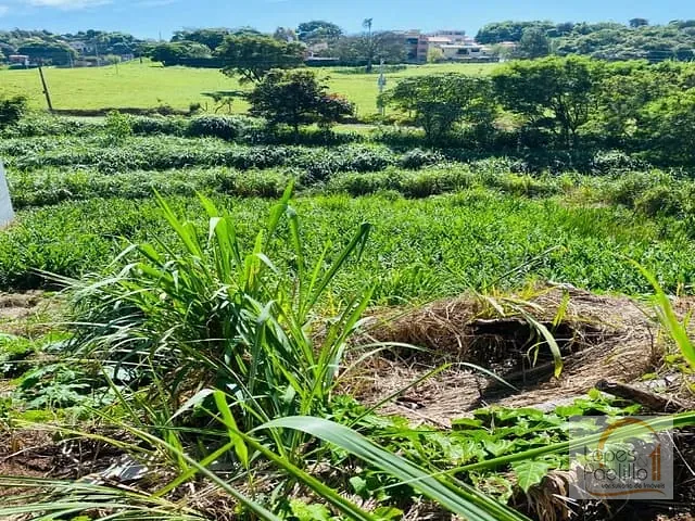 Terreno com 1167m², à venda, no bairro Vila Gardênia em Atibaia