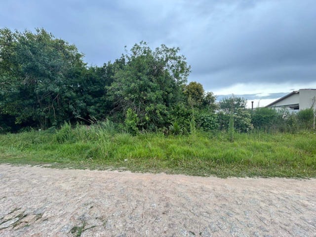 Terreno com 533m², à venda, no bairro Três Vendas em Pelotas