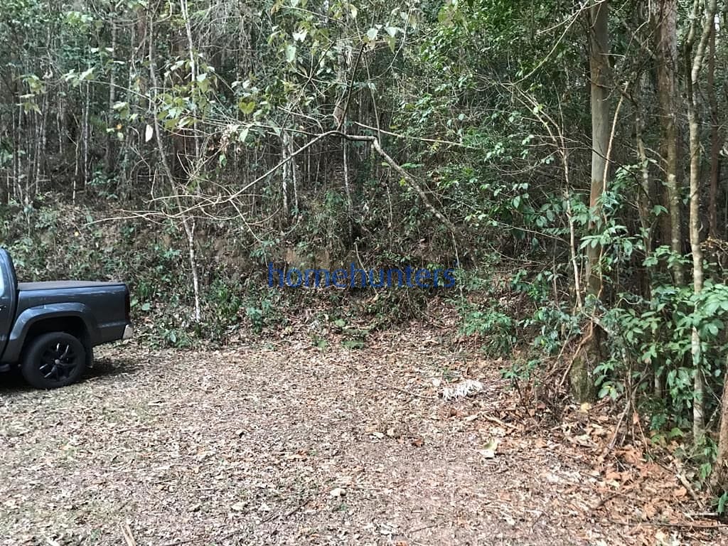 Terreno, 2 hectares - Foto 11