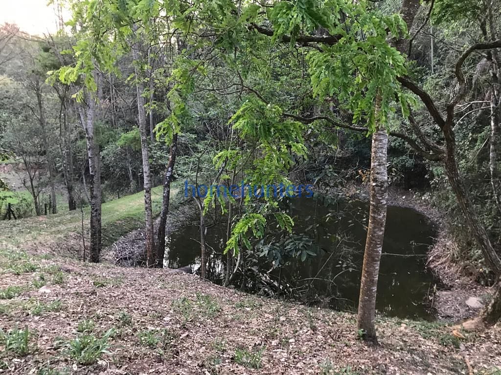 Terreno, 2 hectares - Foto 6