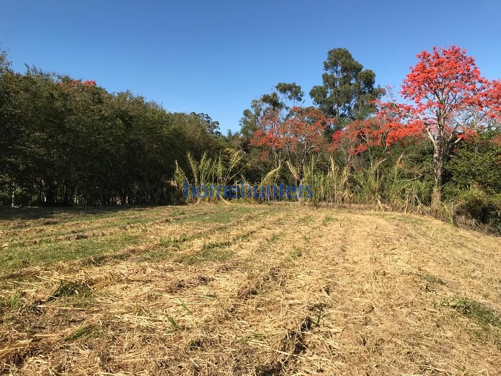 Terreno, 2 hectares - Foto 17