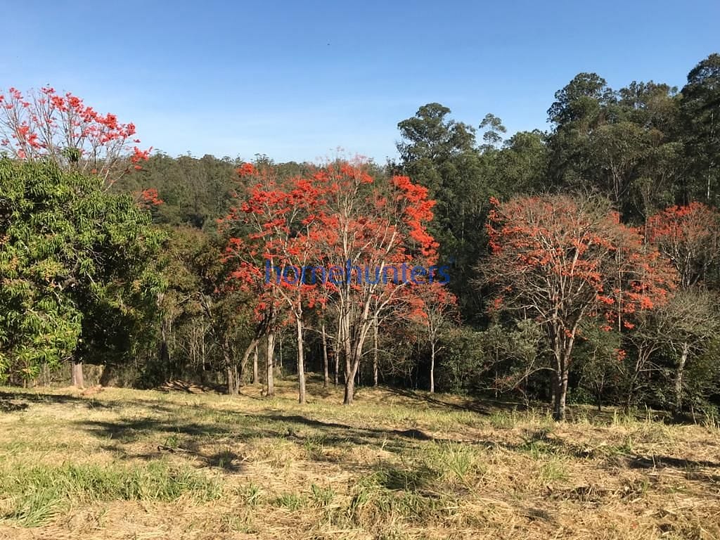 Terreno, 2 hectares - Foto 14