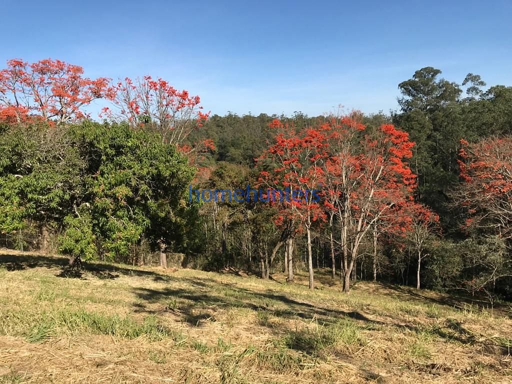 Terreno, 2 hectares - Foto 20