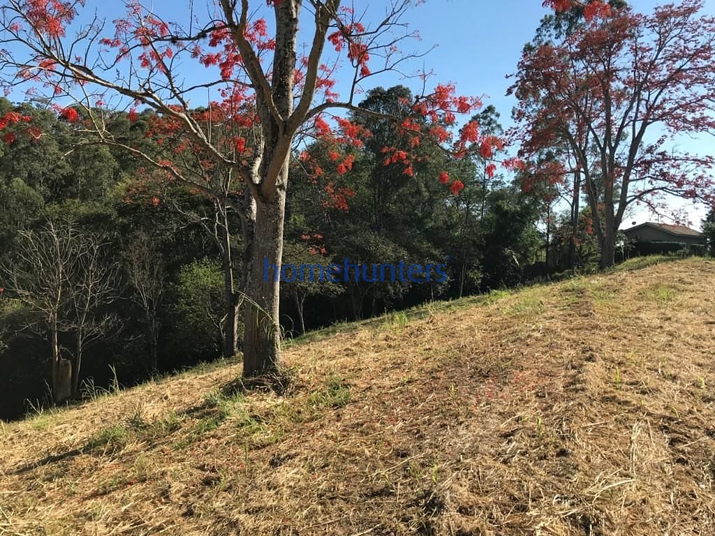 Terreno, 2 hectares - Foto 19
