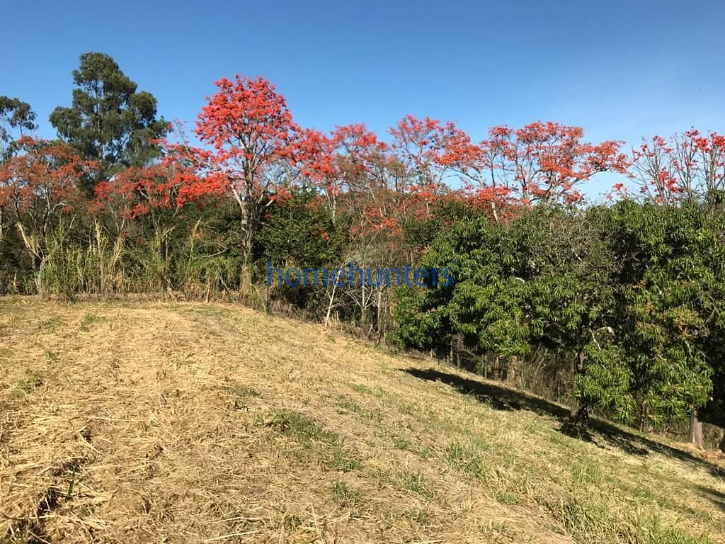 Terreno, 2 hectares - Foto 13