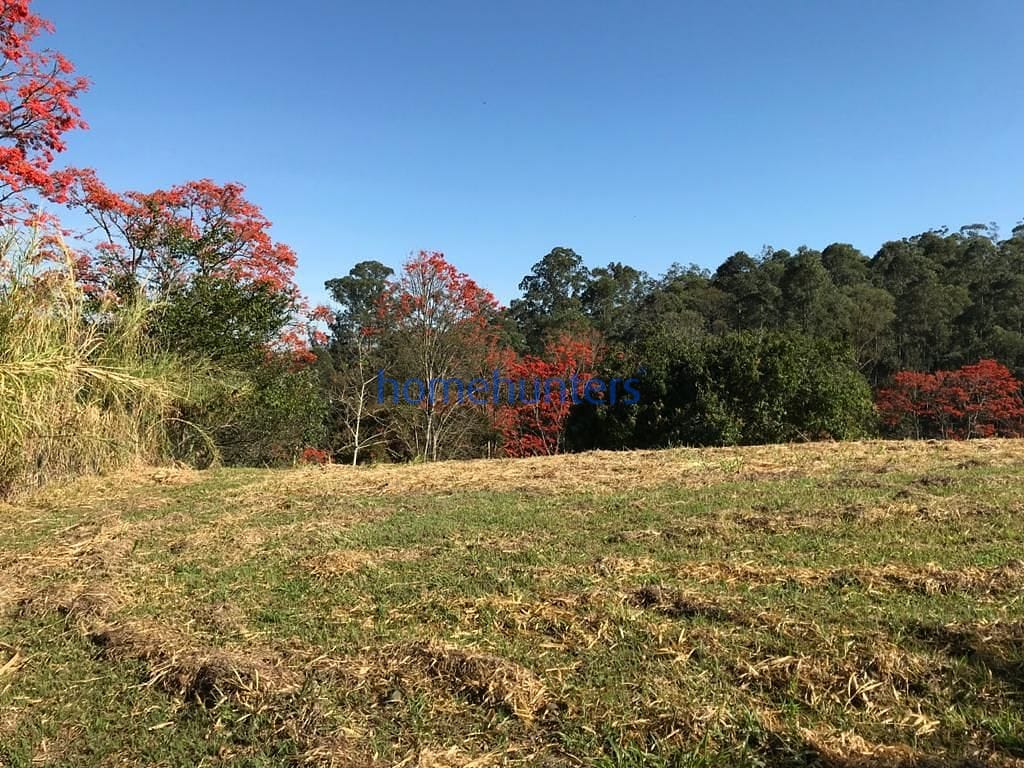 Terreno, 2 hectares - Foto 9