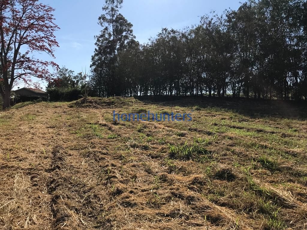 Terreno, 2 hectares - Foto 3