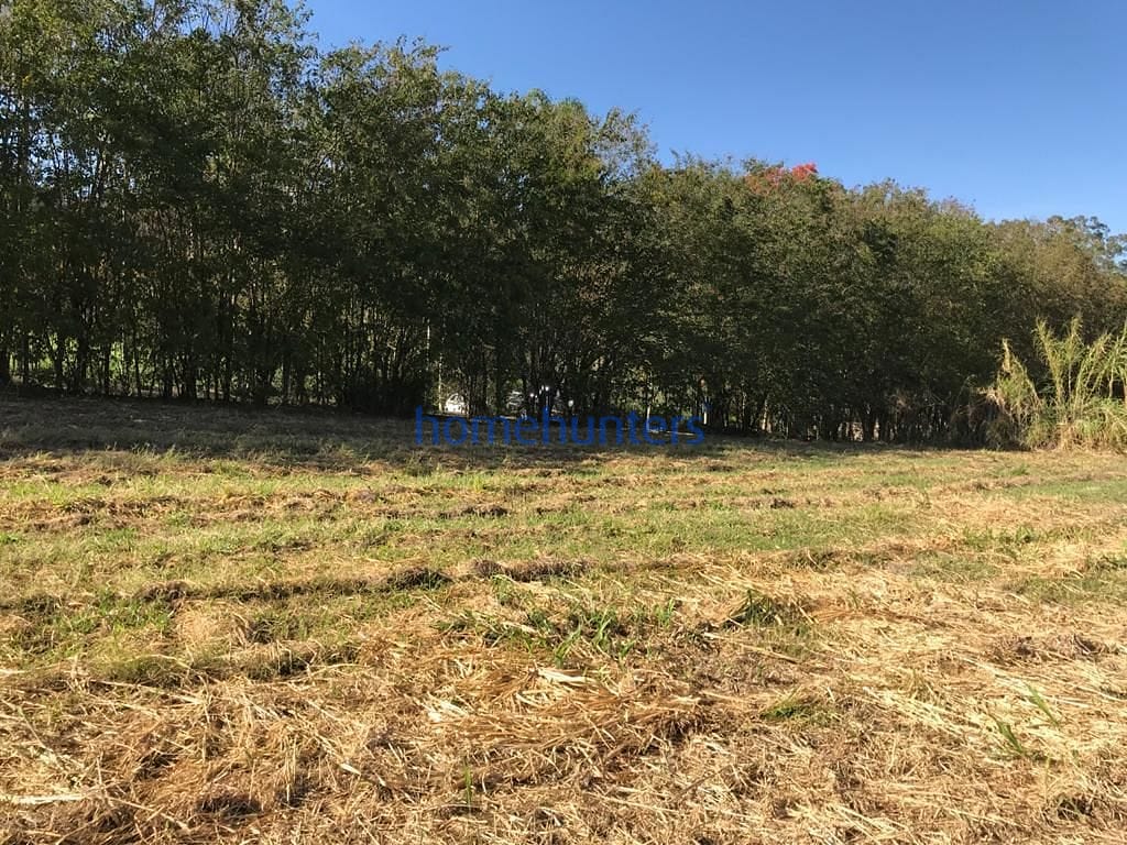 Terreno, 2 hectares - Foto 16