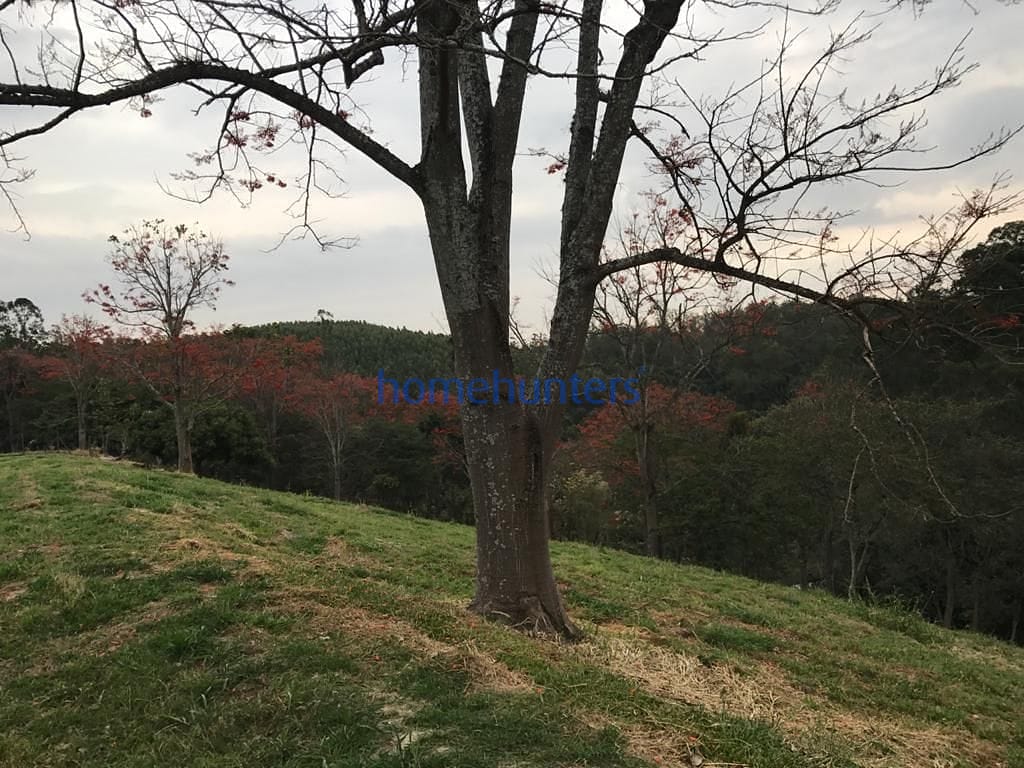 Terreno, 2 hectares - Foto 27