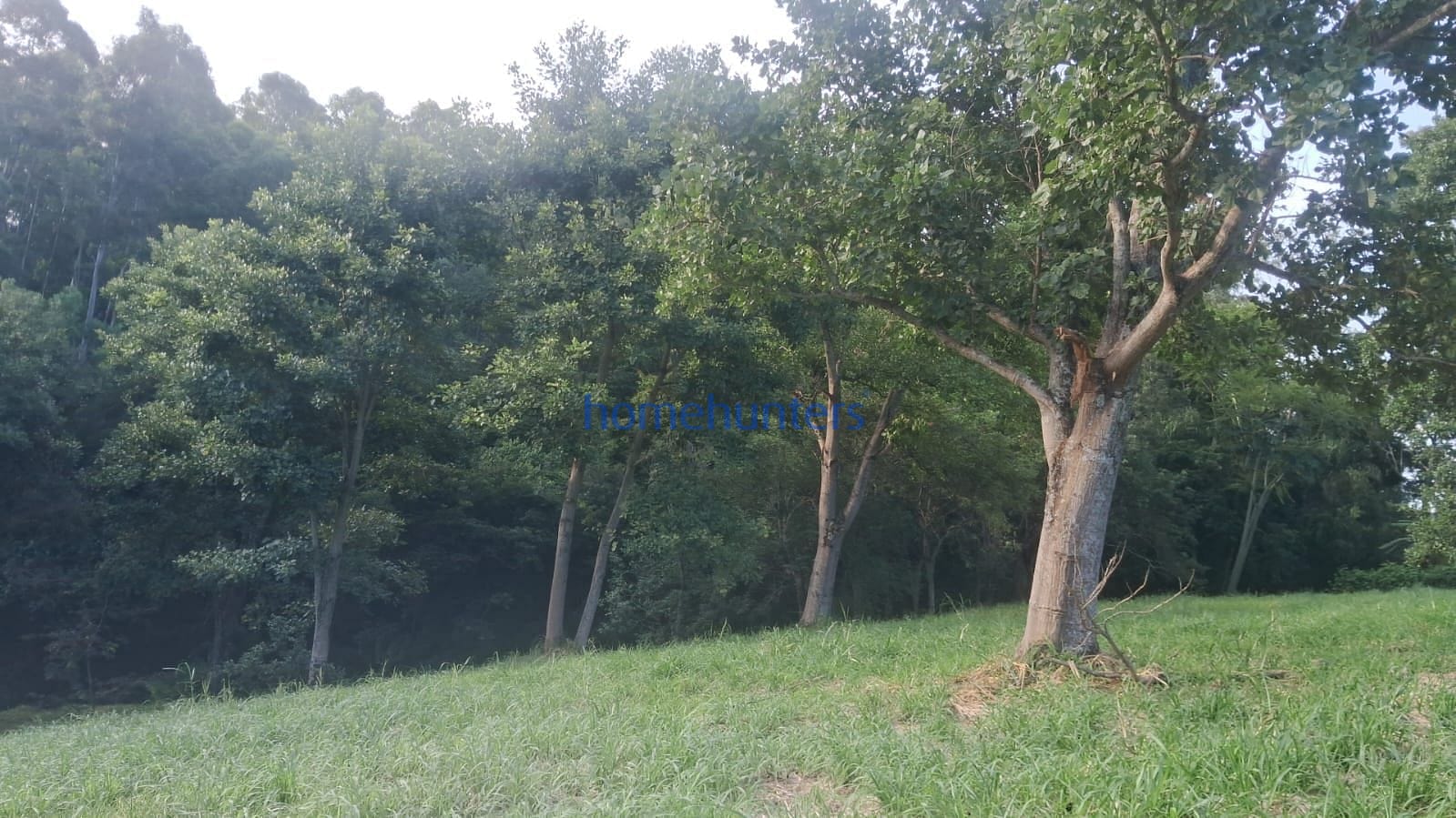 Terreno, 2 hectares - Foto 2