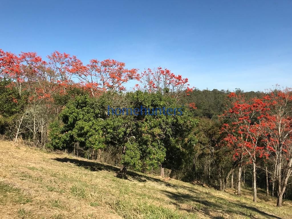 Terreno, 2 hectares - Foto 15