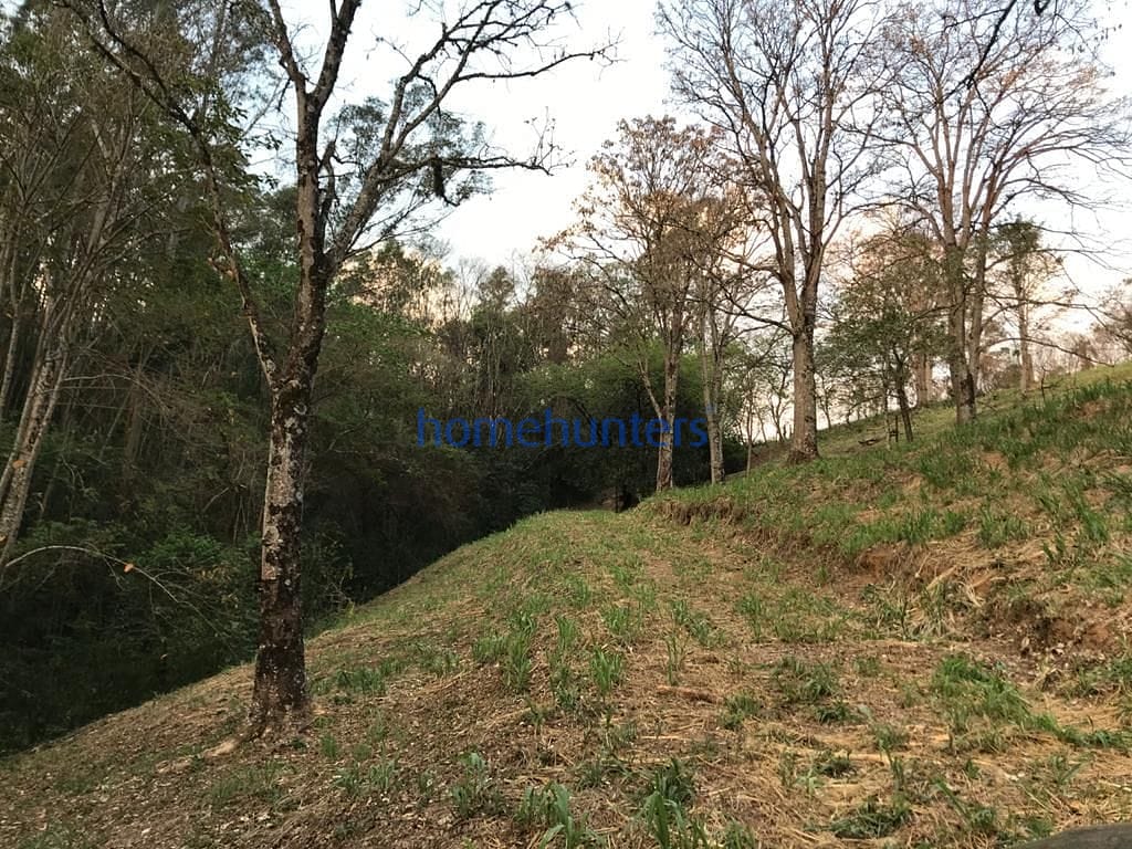 Terreno, 2 hectares - Foto 21