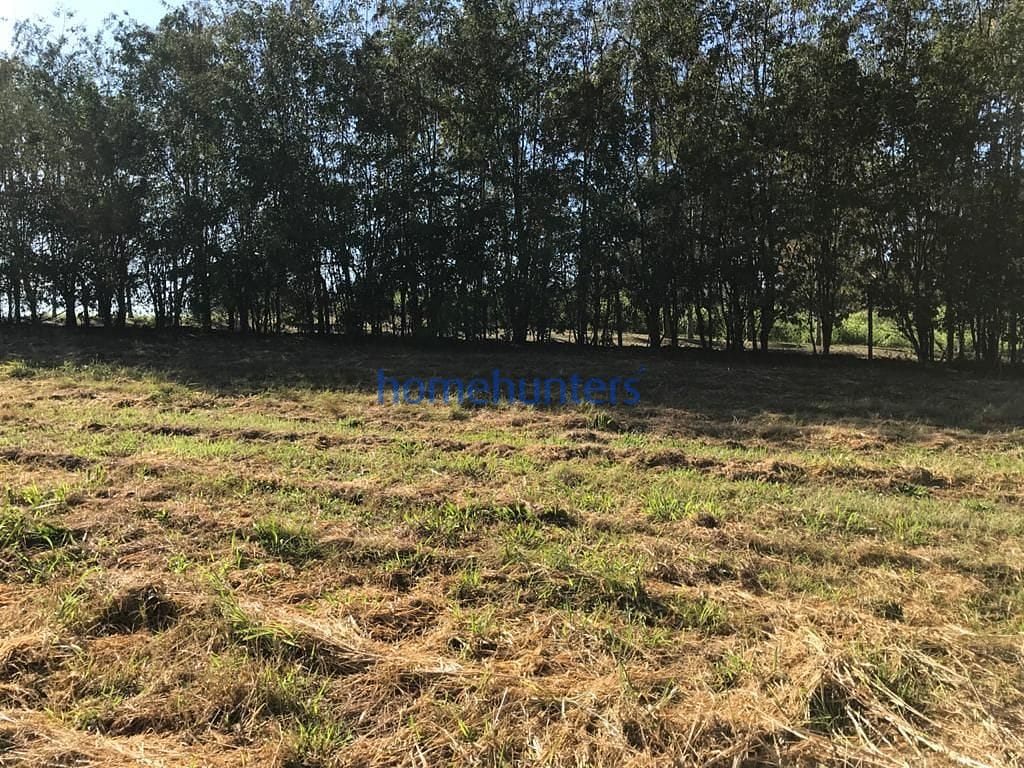 Terreno, 2 hectares - Foto 18