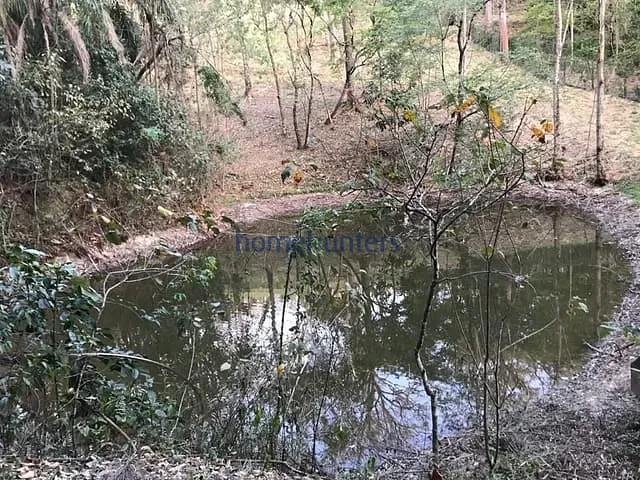 Terreno com 20000m², à venda, no bairro Jardim Martinelli (Sousas) em Campinas