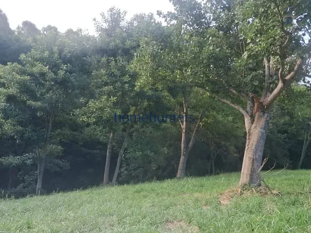 Terreno com 20000m², à venda, no bairro Jardim Martinelli (Sousas) em Campinas