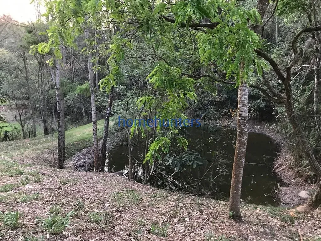 Terreno, 2 hectares - Foto 7