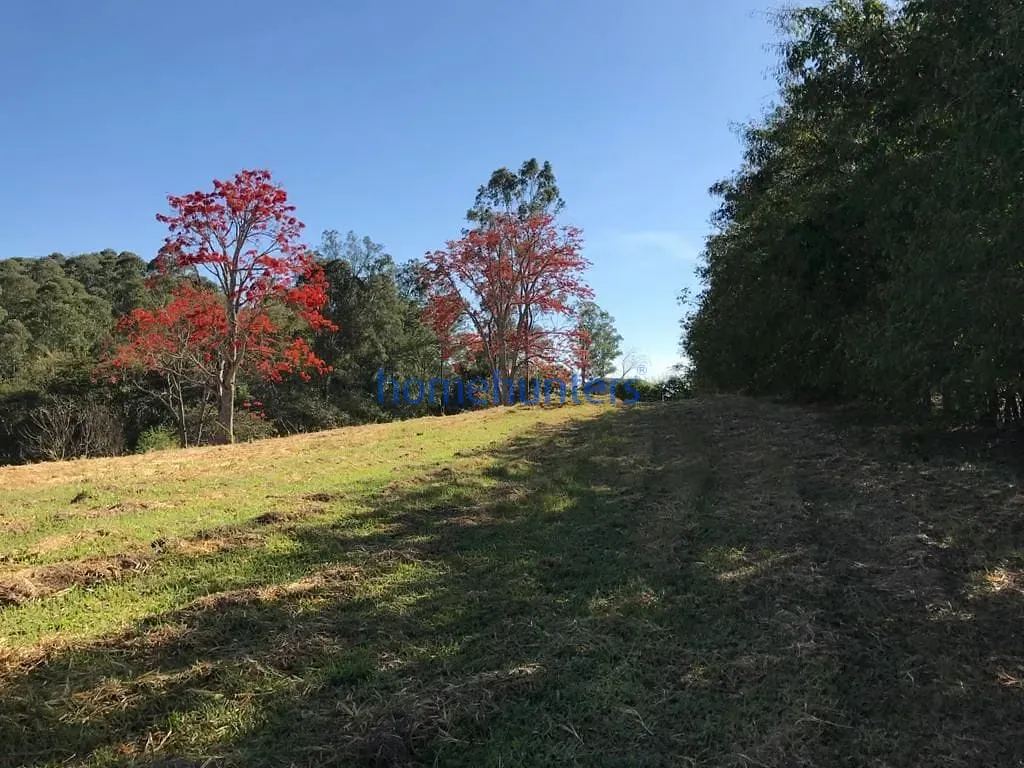 Terreno, 2 hectares - Foto 8