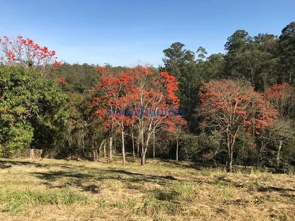 Terreno, 2 hectares - Foto 14