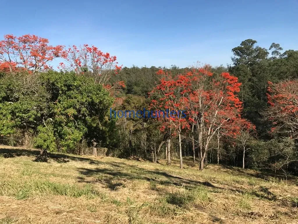 Terreno, 2 hectares - Foto 20