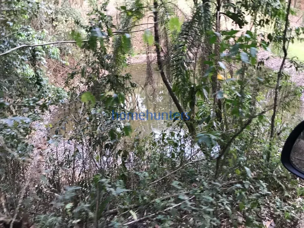 Terreno, 2 hectares - Foto 6