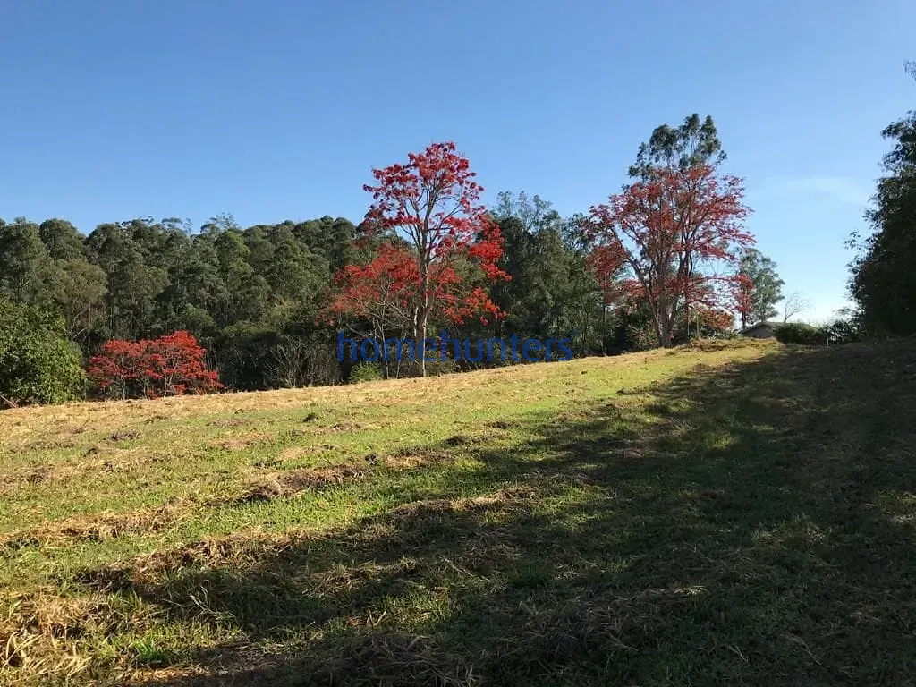 Terreno, 2 hectares - Foto 1