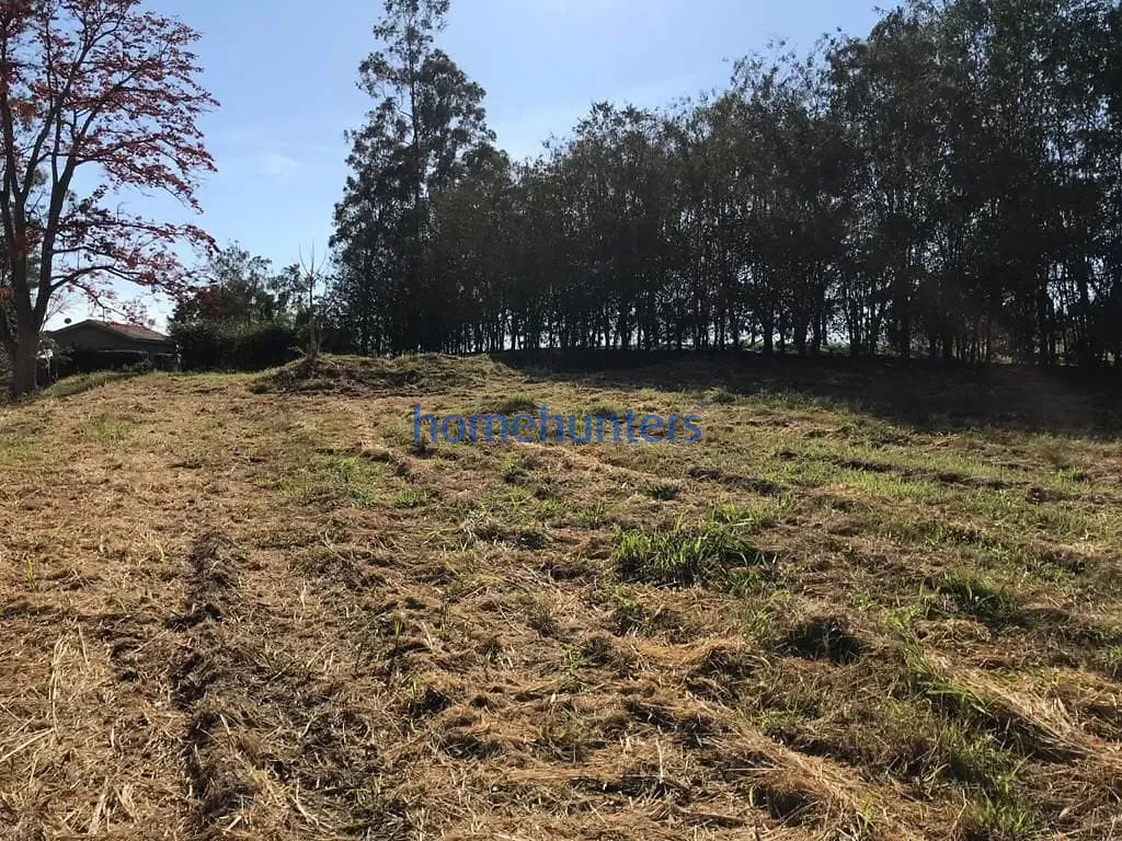 Terreno, 2 hectares - Foto 4