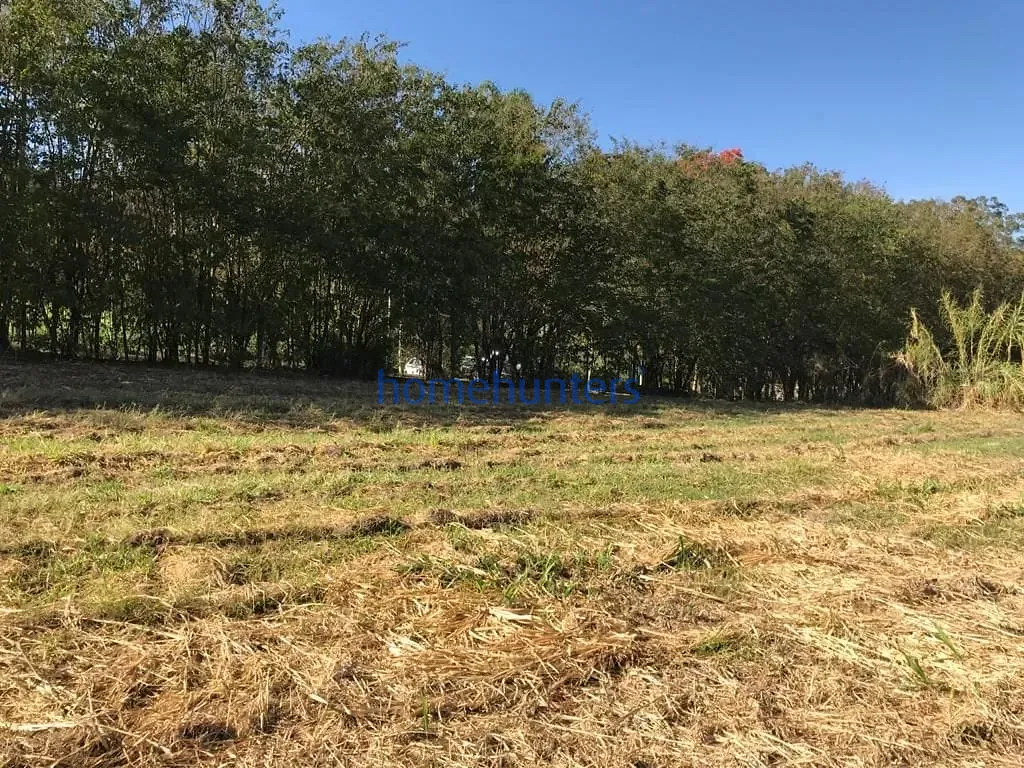 Terreno, 2 hectares - Foto 16