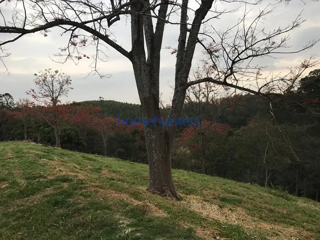 Terreno, 2 hectares - Foto 27