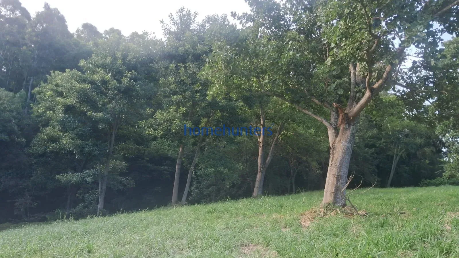 Terreno, 2 hectares - Foto 3
