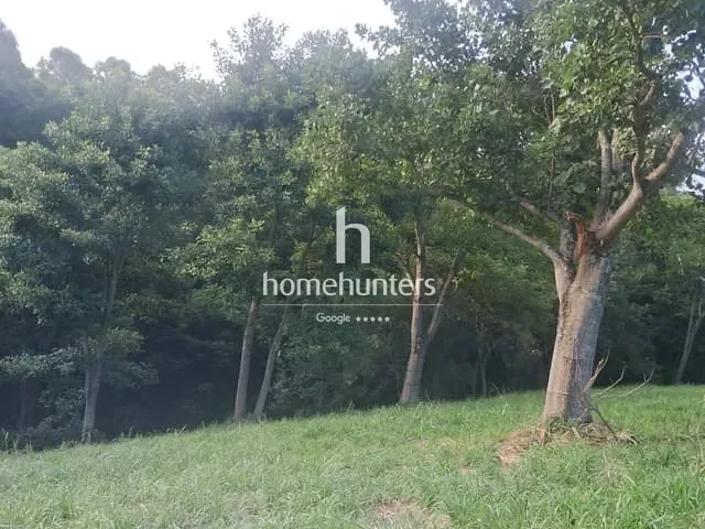 Terreno com 20000m², à venda, no bairro Jardim Martinelli (Sousas) em Campinas