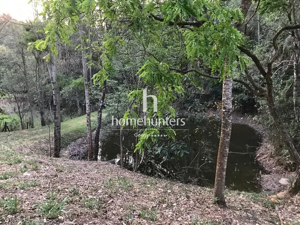 Terreno, 2 hectares - Foto 7