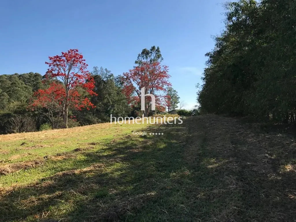 Terreno, 2 hectares - Foto 8