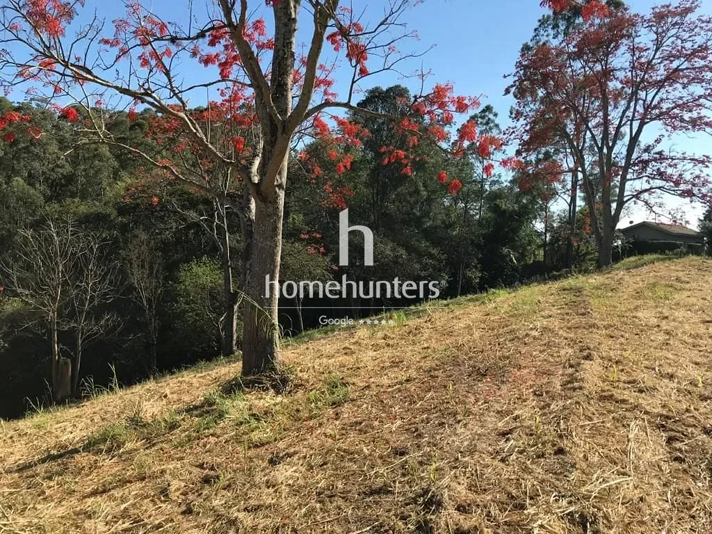 Terreno, 2 hectares - Foto 19