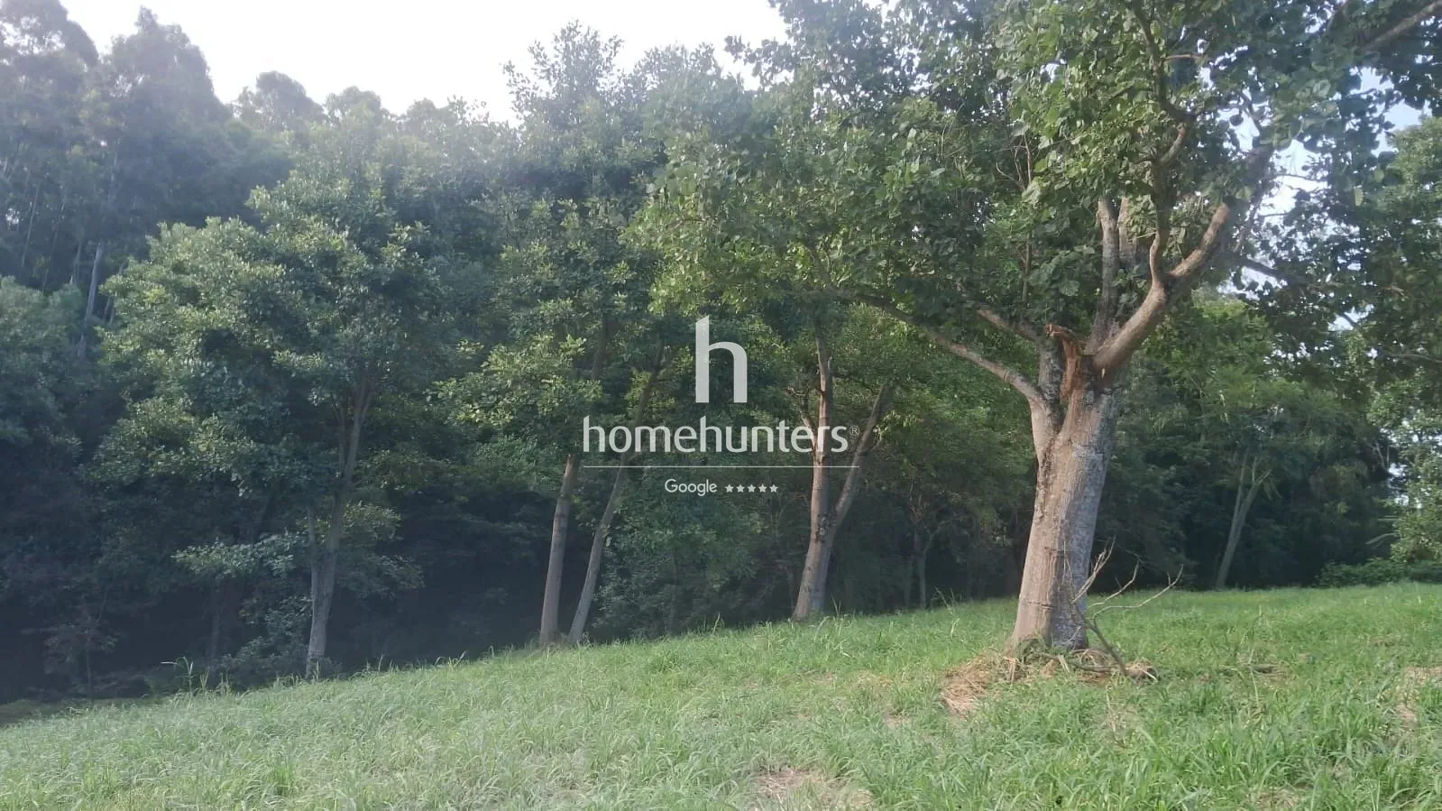 Terreno, 2 hectares - Foto 3