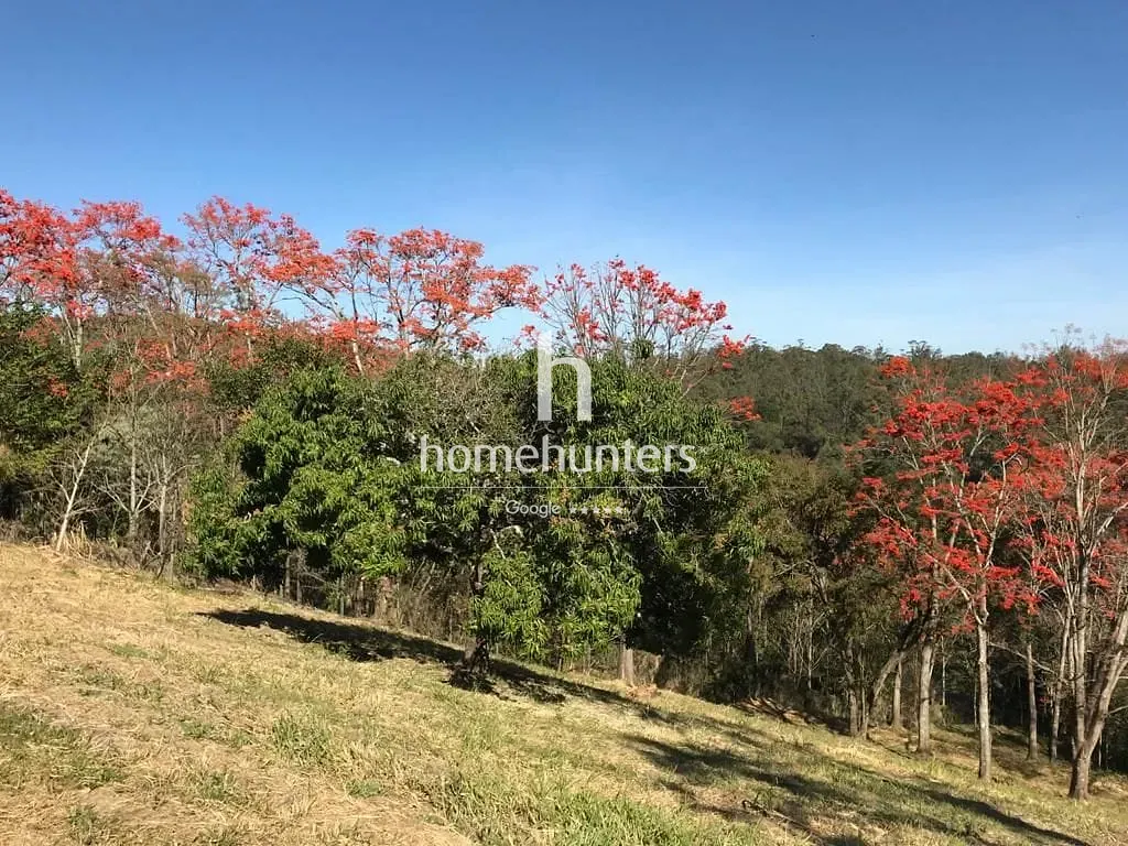 Terreno, 2 hectares - Foto 15
