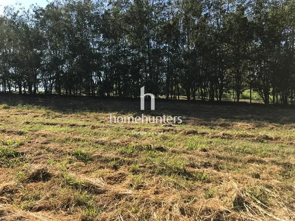 Terreno, 2 hectares - Foto 18