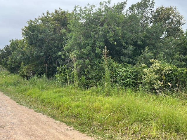 Terreno com 1446m², à venda, no bairro Três Vendas em Pelotas