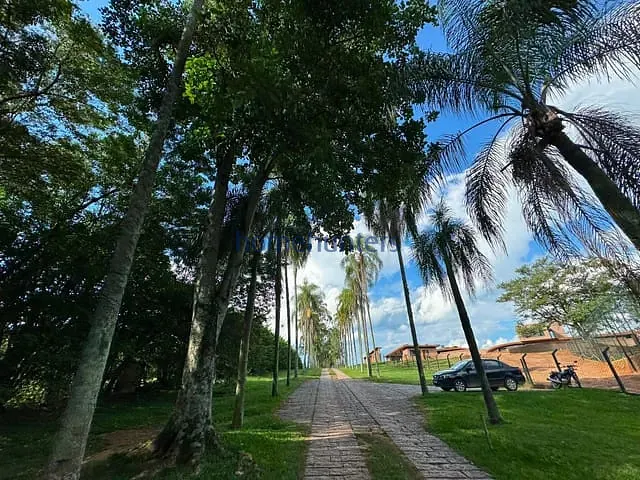 Terreno com 22500m², à venda, no bairro Jardim Martinelli (Sousas) em Campinas